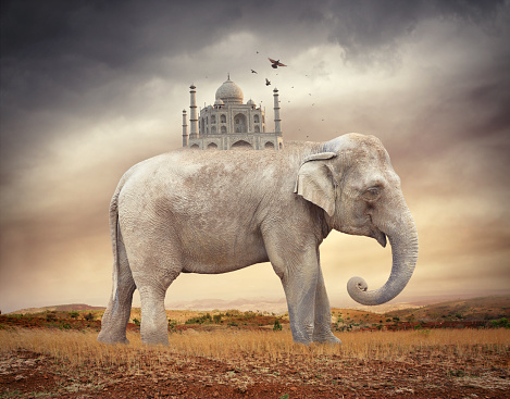Indian Elephant walking with Taj Mahal mausoleum on the back