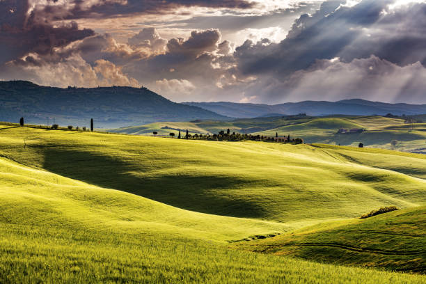 istock Sunny landscape from Val d'Orcia, Tuscany, Italy 1086922474