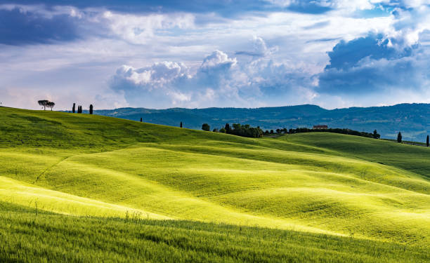 istock Sunny landscape from Val d'Orcia, Tuscany, Italy 1086922620