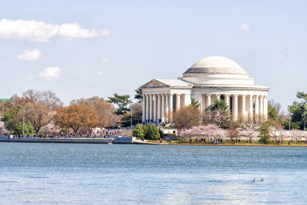 istock Tidal Basin water, Thomas Jefferson Memorial reflection in spring, springtime, cherry blossom festival, sakura trees blooming, flowers, people, tourists walking in Washington DC, sunny, ducks swimming 1086929194