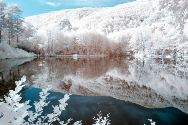 istock Surreal Infrared landscape 1086931546