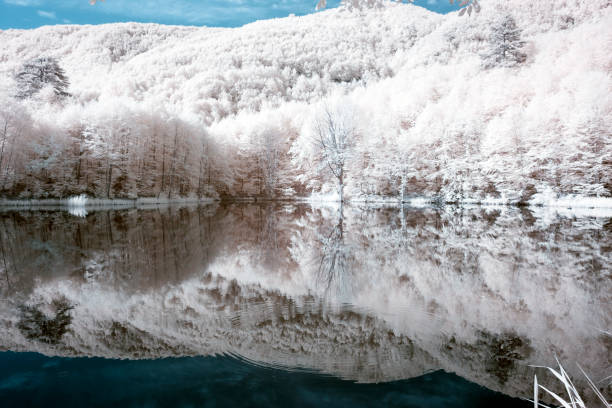 istock Surreal Infrared landscape 1086931572