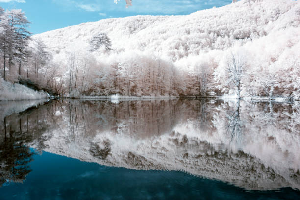 istock Surreal Infrared landscape 1086931588