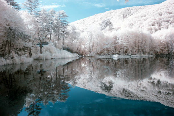 istock Surreal Infrared landscape 1086931604