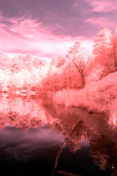 istock Surreal Infrared landscape 1086934482