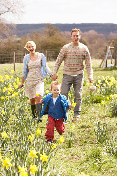 istock Young Family Walking Amongst Spring Daffodils 108693458