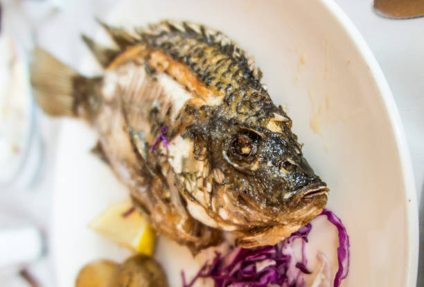 istock Traditional fish St. Peter of Galilee 1086934994