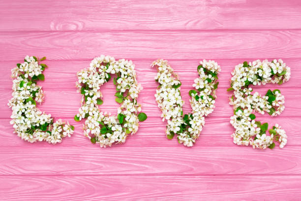 napis miłość wykonana z kwiatów wiśni na różowym drewnianym tle. elementy projektu na walentynki. - cherry valentine zdjęcia i obrazy z banku zdjęć