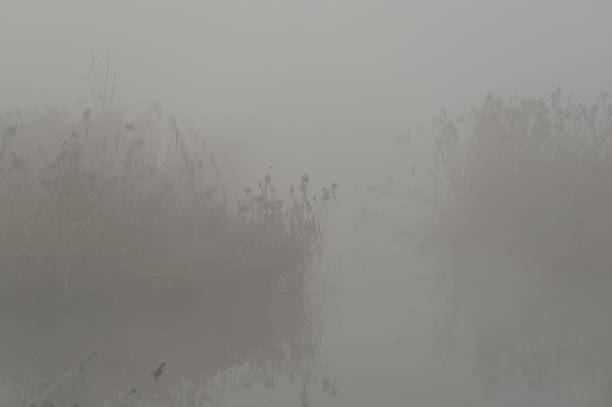 Winter morning  in a park