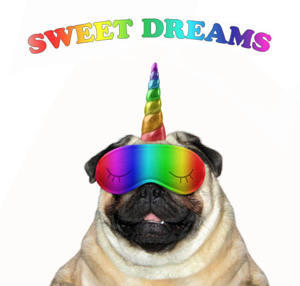 istock Dog unicorn in a sleep mask 1086955404