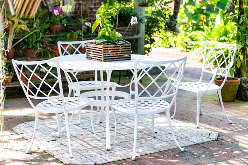 White cast iron chairs, table in outdoor, outside sitting area, garden, patio, porch, many potted flowers, pots, orchid flower wooden pot, green plants in sunny summer, Key West, Florida tropical city