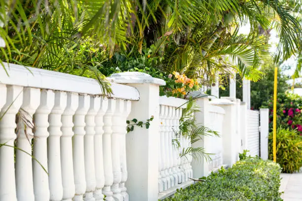 White stone column, columns wall, fence, wall in residential area with palm trees, bushes green leaves, flowers in summer, sunny day with sidewalk, street, road in Florida