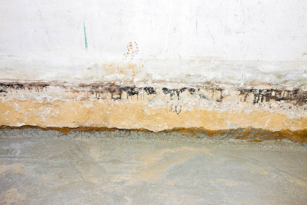 istock Preparatory stage for the construction of a ventilated crawl space in an old brick building 1086977280