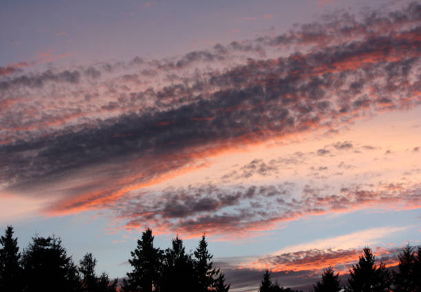 istock Vancouver Island - British Columbia 1086985612