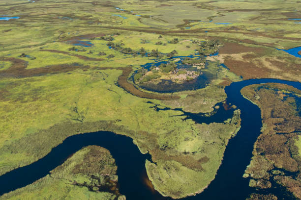 istock An aerial view capturing the swirling patterns of lush vegetation, meander river paths and land in the Okavango Delta, Botswana 1086988052