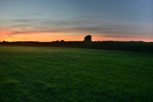istock Green meadow and sky after sunset 1086988702