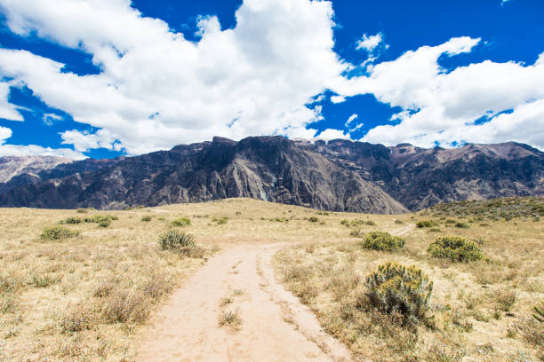 istock landscape of  Peru 1086993972