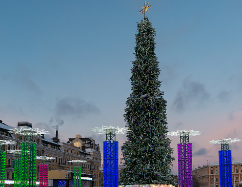 Big beautiful christmas tree in Kiev