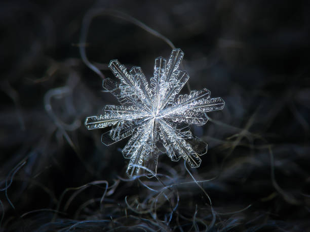 istock Cluster of real snowflakes glittering on dark background 1086995688