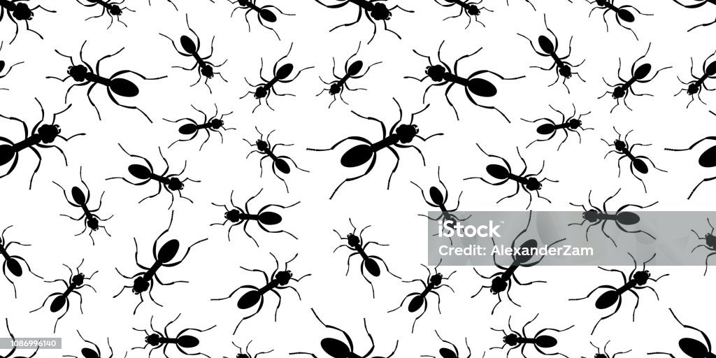 Ant Pattern Real Black Ant Seamless Pattern Stock Illustration - Download Image Now ...