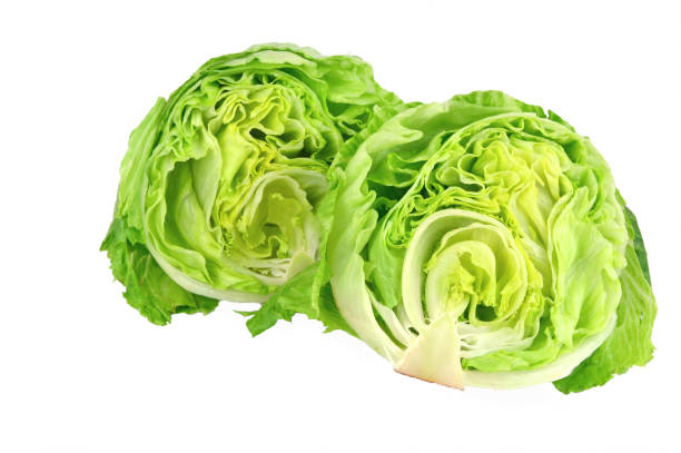 lettuce - iceberg lettuce imagens e fotografias de stock