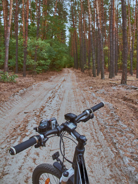 istock Bike on a sandy road in a pine forest 1087004424