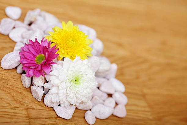istock Colorful flowers in stones 108701124