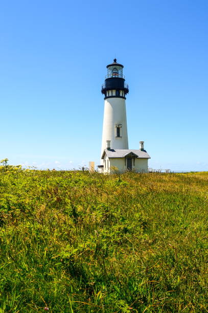 istock Yaquina Head Lighthouse, Oregon-USA 1087014946