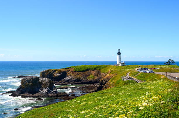 yaquina head lighthouse, oregon-usa - newport oregon imagens e fotografias de stock