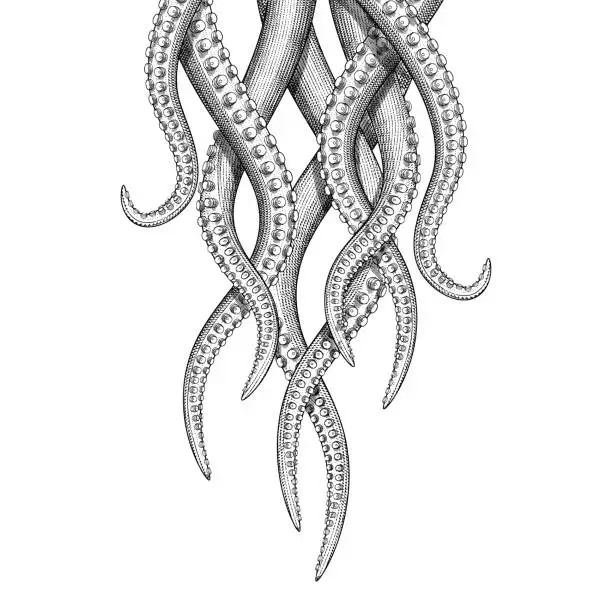 Vector illustration of Tentacles