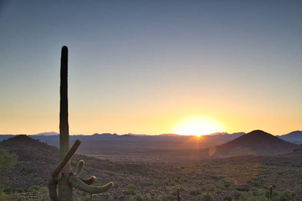 istock Arizona Desert Sunrise with a Clear Blue Sky 1087016656