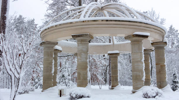 linda colunata no parque nevado, fresco da manhã bucha ucrânia inverno - forest colonnade tree old fashioned - fotografias e filmes do acervo