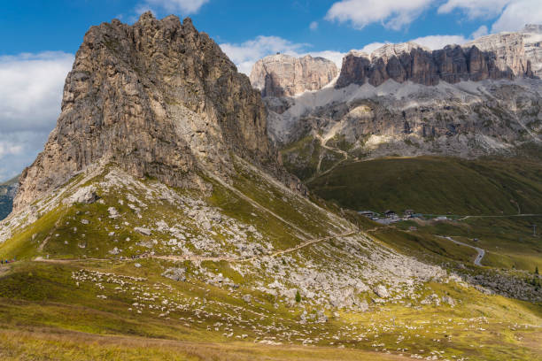 Large flock of sheep on pasture on the slope high up in Dolomites in autumn. In distance hikers under the mountain peaks.
