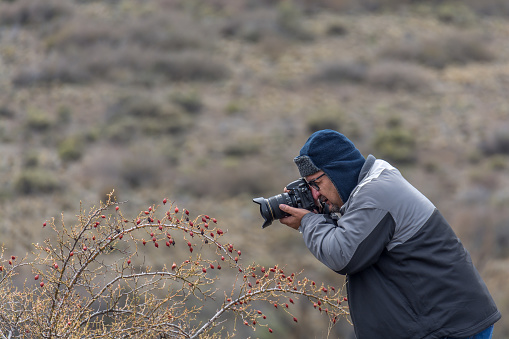 Photographing plants in the icy desert, in Bariloche, Patagonia Argentina