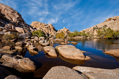 Water is a scarce resource in the desert Southwest. In the early 1900's cattle ranchers, needing a natural water source, built a catch basin in this high desert area of California to capture rainfall and runoff. Later, a dam was built here by the Barker and Shay Cattle Company to expand the reservoir. Because of insufficient rainfall in the area, cattle ranching was a short lived enterprise. Today, Barker Reservoir in Joshua National Park, California is a quiet oasis, providing water and shelter for desert animals and migrating birds.