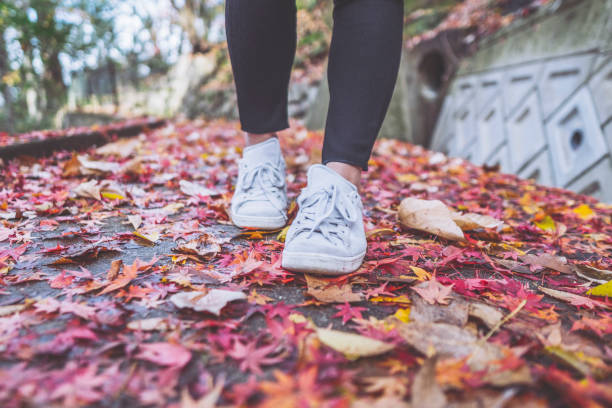 istock Women's foot walking on fallen leaves 1087032298