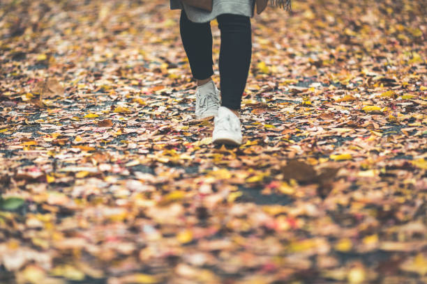 istock Women's foot walking on fallen leaves 1087032340