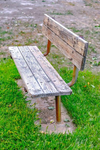 istock Wooden bench painted white on a grassy terrain 1087034114