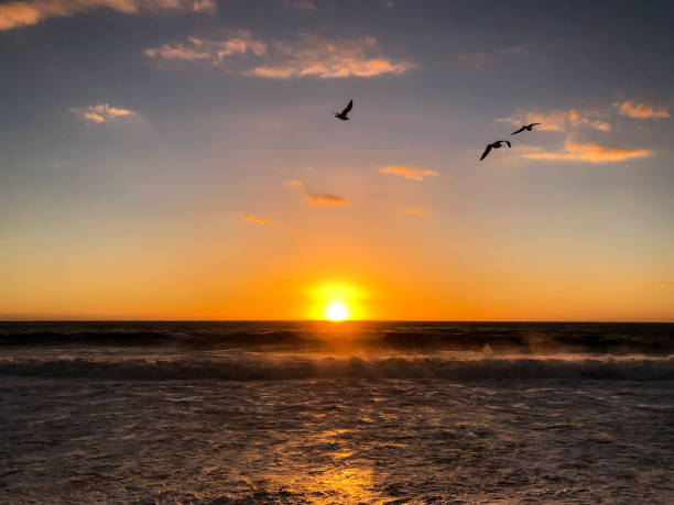 istock Sun sets in Playa del Rey, CA over the Pacific Ocean 1087034256