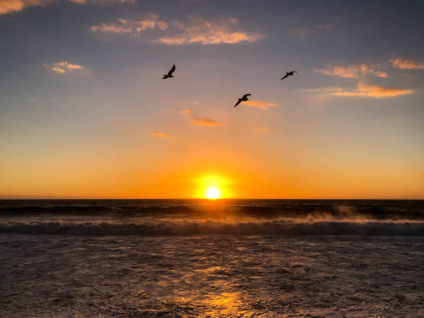 istock Sun sets in Playa del Rey, CA over the Pacific Ocean 1087034260