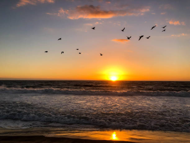 istock Sun sets in Playa del Rey, CA over the Pacific Ocean 1087034300