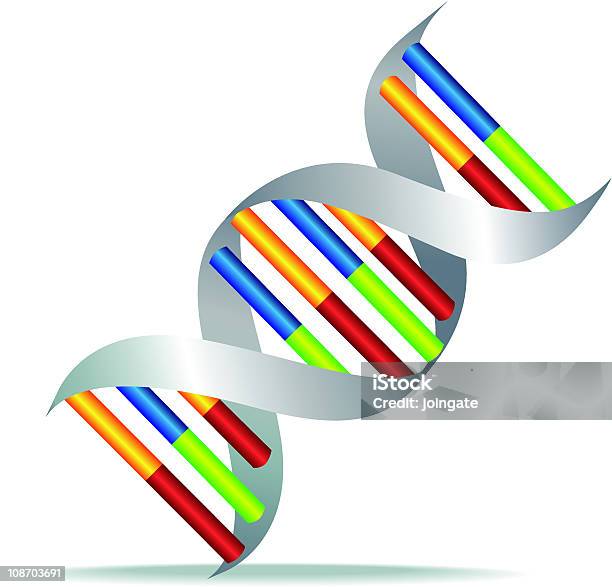 Dna Auf Weiß Stock Vektor Art und mehr Bilder von Bildung - Bildung, Blau, Chemikalie