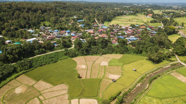 istock High angle view of Field in Thailand . 1087043130