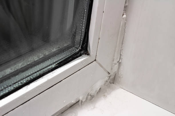 istock ice on the plastic window close-up, front and background blurred with bokeh effect 1087048486