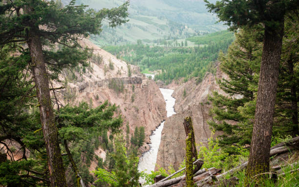 istock Yellowstone National Park 1087051450