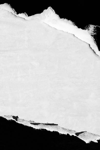 Blank white black old ripped torn paper crumpled creased posters grunge textures backdrop backgrounds placard Abstract, Abstract Backgrounds, Advertisement, Aging Process peeled photos stock pictures, royalty-free photos & images