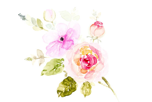 istock Hand painted watercolor bouquet flowers on a white background. 1087070200