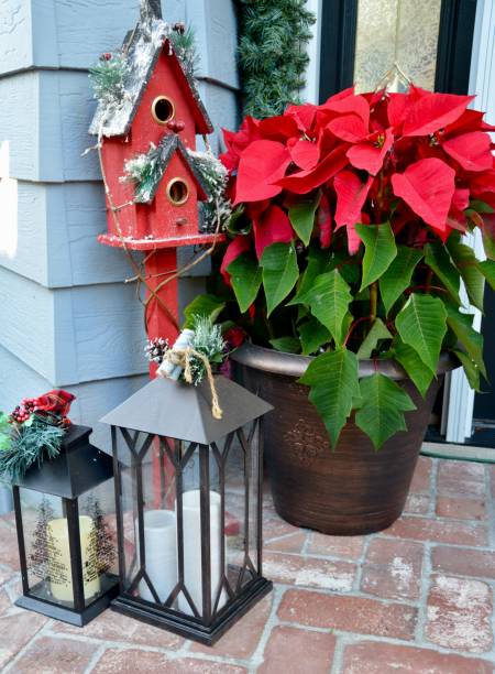 istock Festive Winter Holiday Decor Brighten Up Any Entryway 1087081676