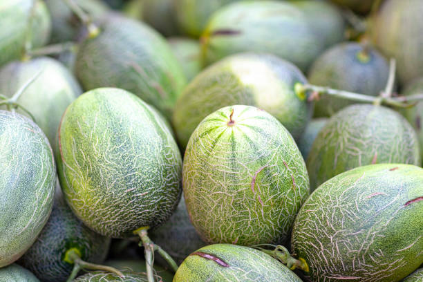 istock vegetable in the market 1087087990