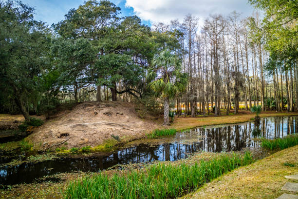 istock Huge old Oak Trees in Avery Island, Louisiana 1087098902